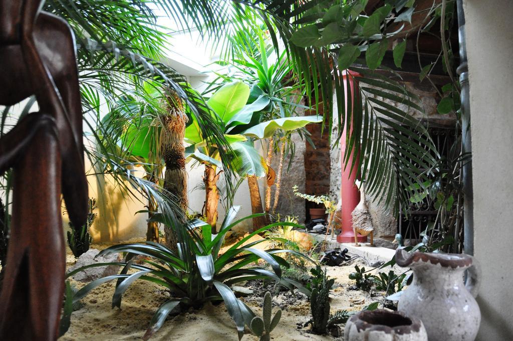 Chambre D'Hotes La Noue Saint-Pierre-la-Palud ภายนอก รูปภาพ