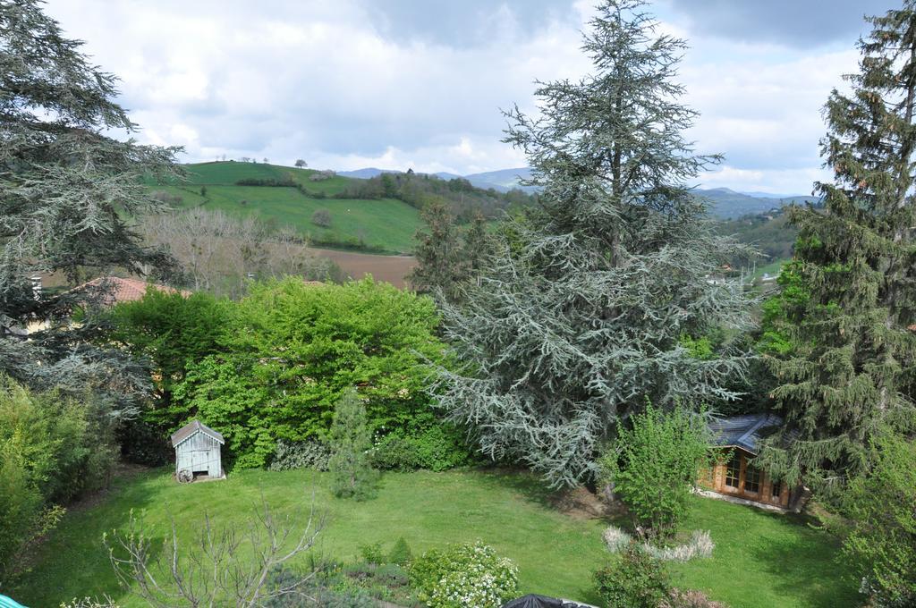 Chambre D'Hotes La Noue Saint-Pierre-la-Palud ภายนอก รูปภาพ
